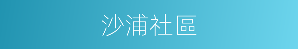 沙浦社區的同義詞