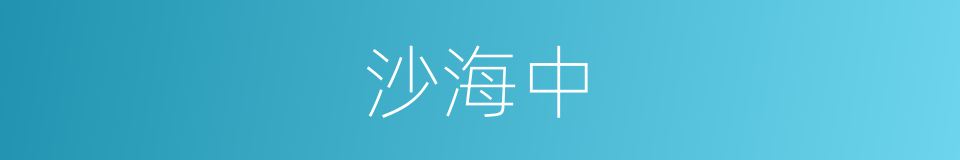 沙海中的同义词