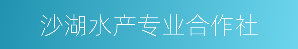 沙湖水产专业合作社的同义词