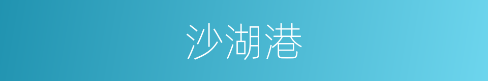 沙湖港的同义词