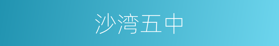 沙湾五中的同义词