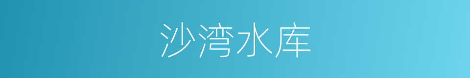 沙湾水库的同义词