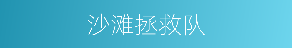 沙滩拯救队的同义词
