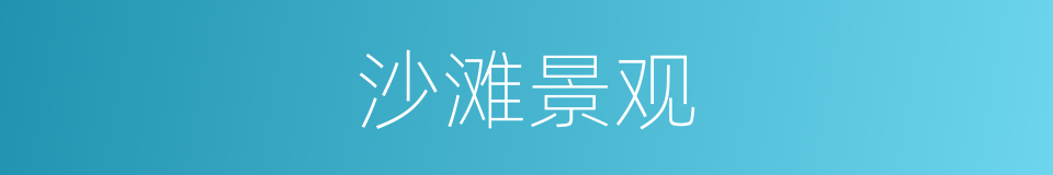 沙滩景观的同义词