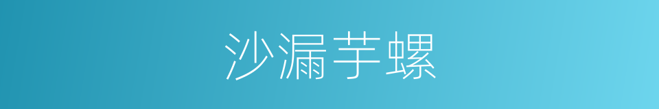 沙漏芋螺的同义词