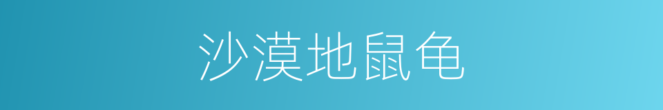沙漠地鼠龟的同义词