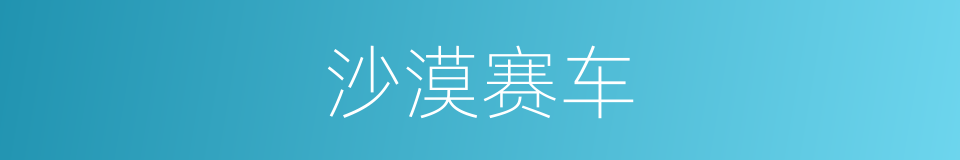 沙漠赛车的同义词