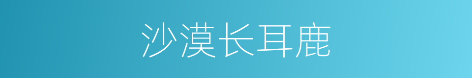 沙漠长耳鹿的同义词
