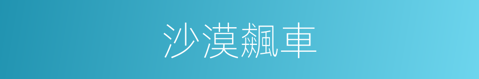 沙漠飆車的同義詞