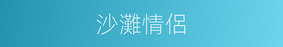 沙灘情侶的同義詞