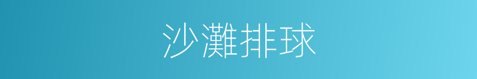 沙灘排球的意思