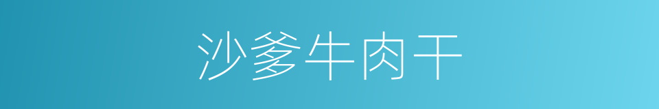 沙爹牛肉干的同义词