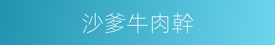 沙爹牛肉幹的同義詞