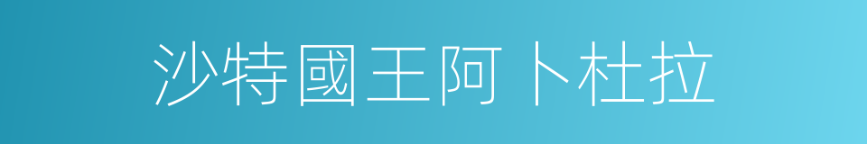 沙特國王阿卜杜拉的同義詞