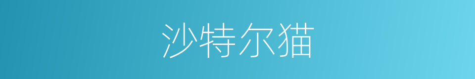 沙特尔猫的同义词