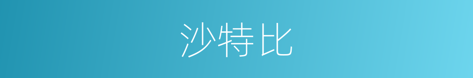 沙特比的同义词