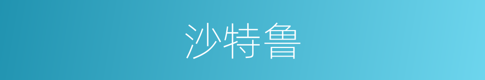 沙特鲁的同义词