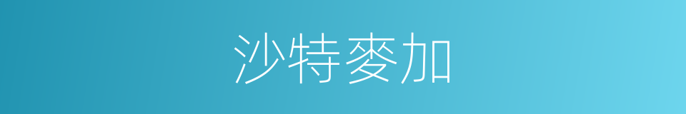 沙特麥加的同義詞