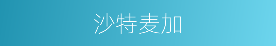 沙特麦加的同义词