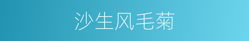 沙生风毛菊的同义词