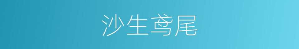 沙生鸢尾的同义词