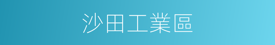 沙田工業區的同義詞