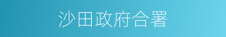 沙田政府合署的同义词