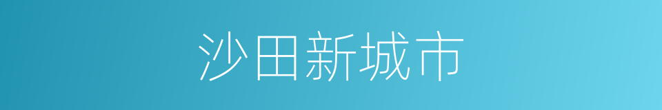 沙田新城市的同义词