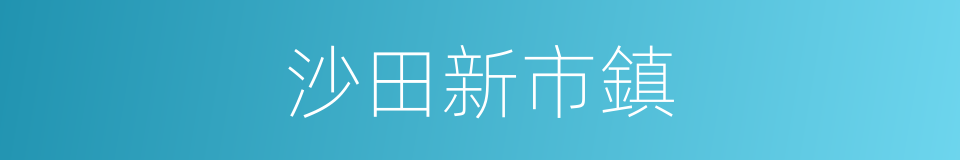 沙田新市鎮的同義詞