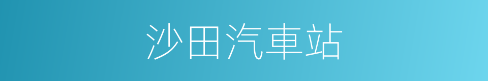 沙田汽車站的同義詞