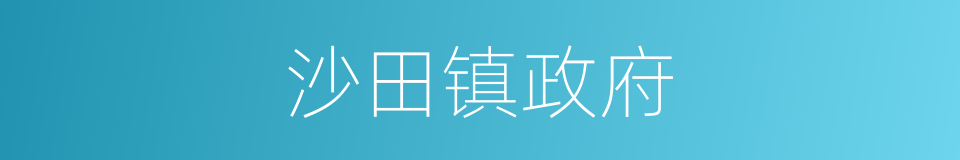 沙田镇政府的同义词