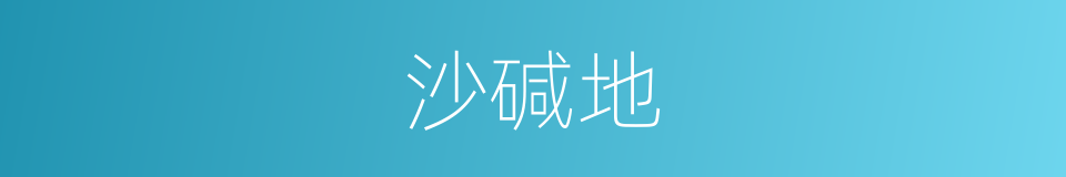 沙碱地的意思