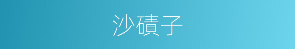 沙磧子的同義詞