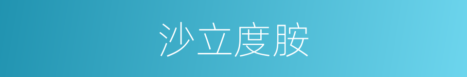 沙立度胺的同义词