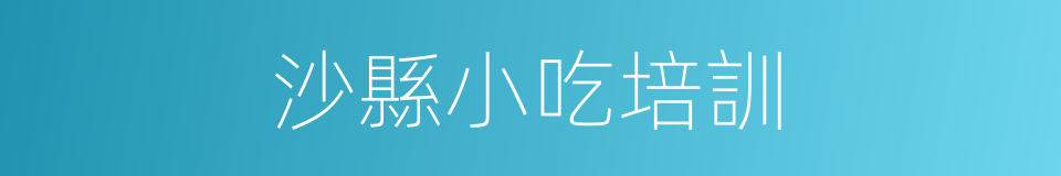 沙縣小吃培訓的同義詞