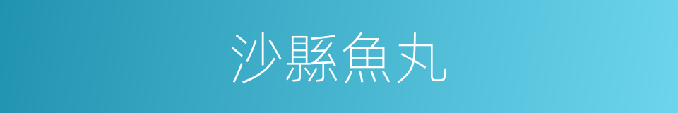 沙縣魚丸的同義詞