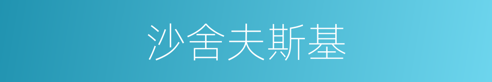 沙舍夫斯基的同义词