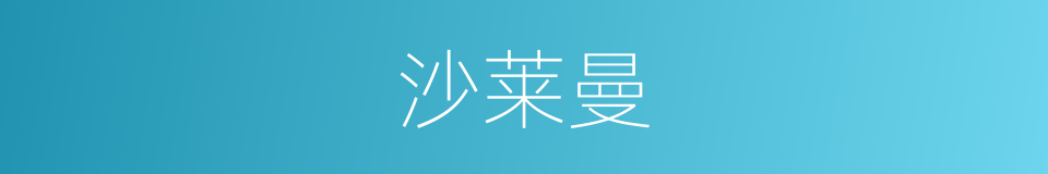 沙莱曼的同义词