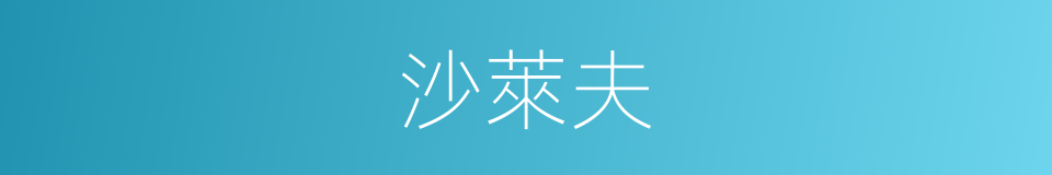 沙萊夫的同義詞