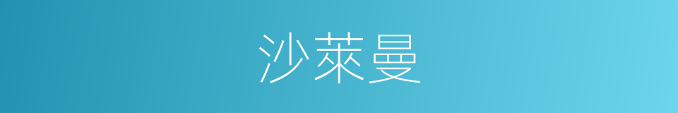 沙萊曼的同義詞