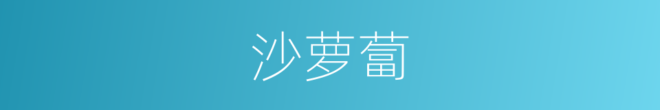 沙萝蔔的同义词