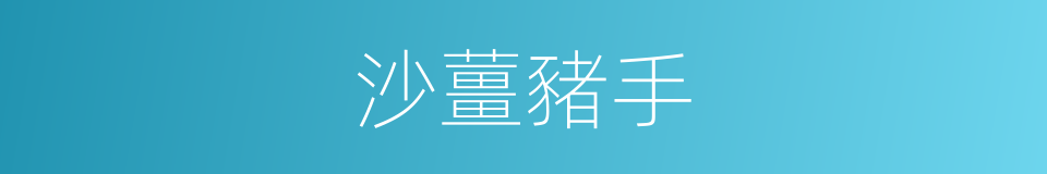 沙薑豬手的同義詞