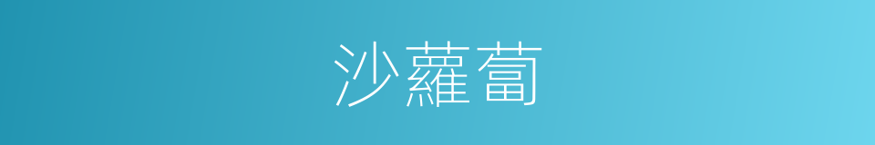 沙蘿蔔的同義詞