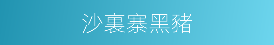沙裏寨黑豬的同義詞