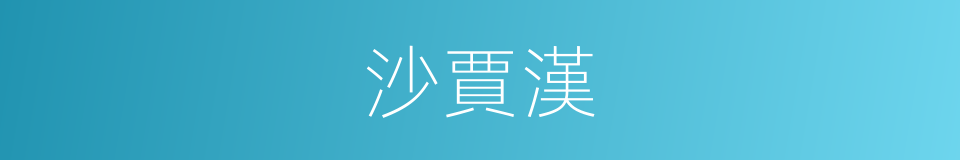 沙賈漢的同義詞