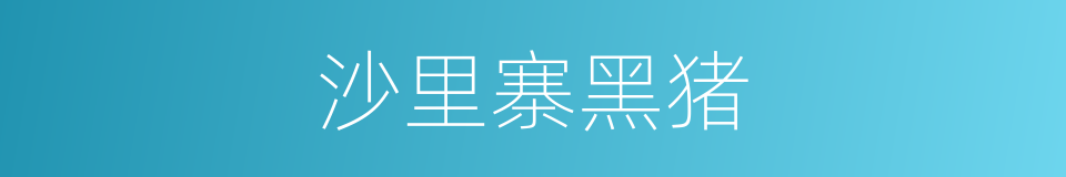 沙里寨黑猪的同义词