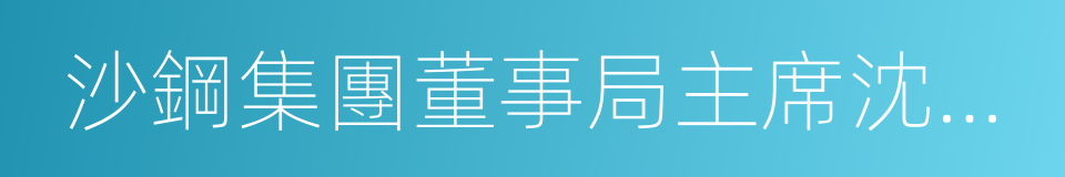 沙鋼集團董事局主席沈文榮的同義詞