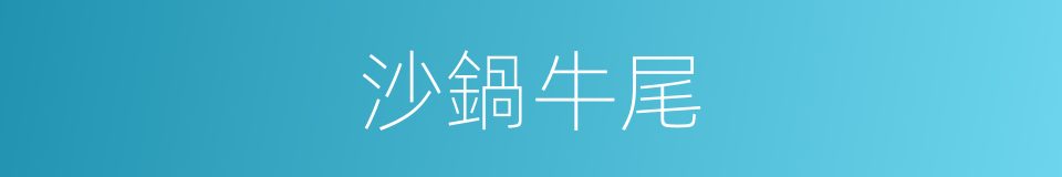 沙鍋牛尾的同義詞