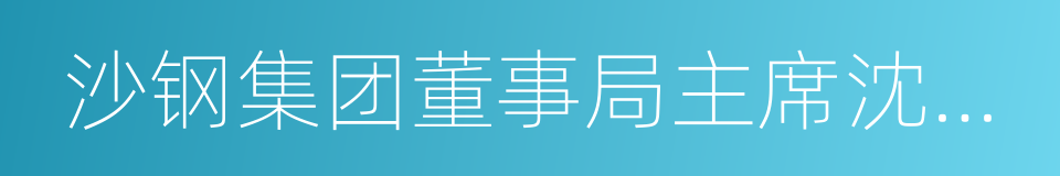 沙钢集团董事局主席沈文荣的同义词