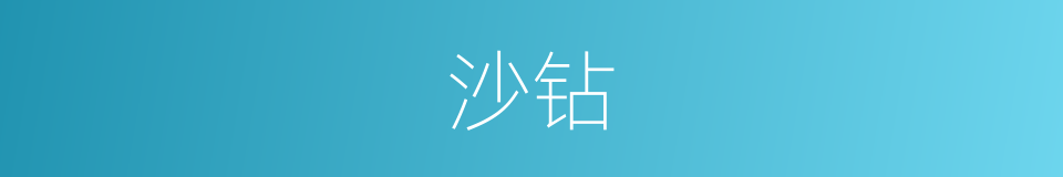 沙钻的意思